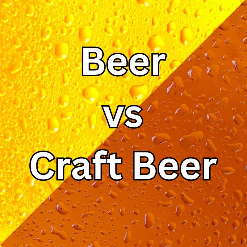 Craft Beer vs beer